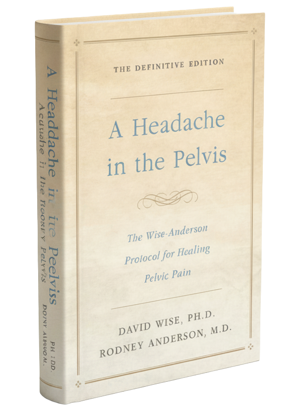  A Headache in the Pelvis book cover